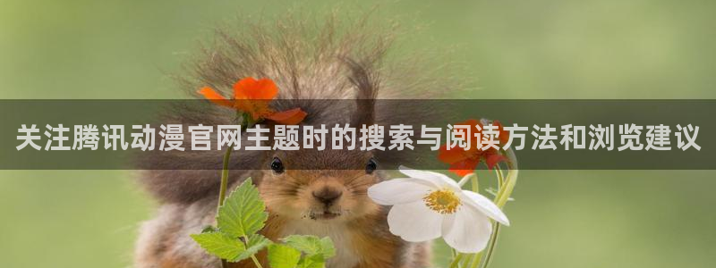 动作动漫